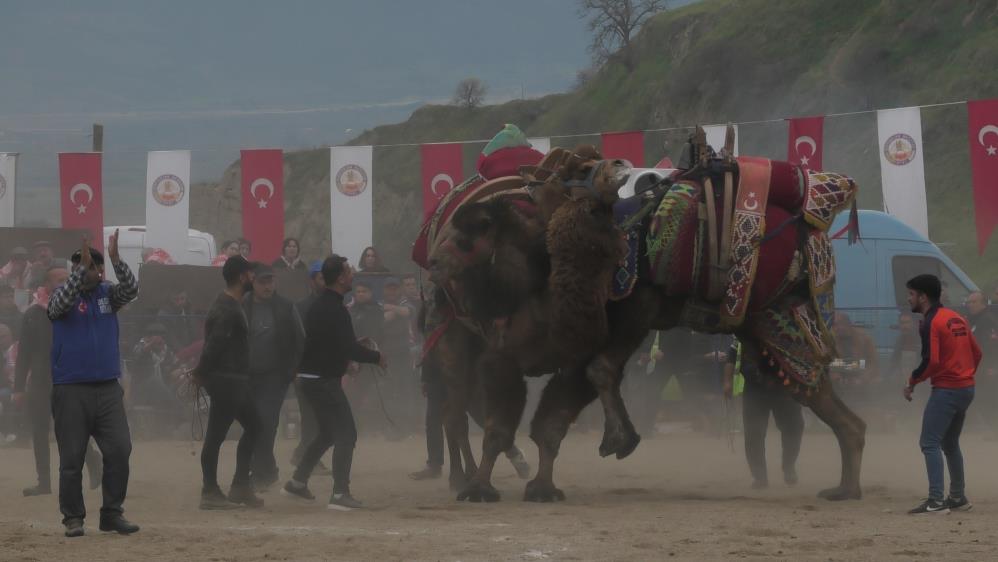 kuyucak-deve-guresi-9.jpg