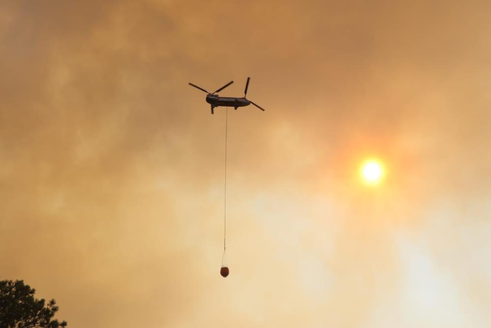 aw269912-04.jpg