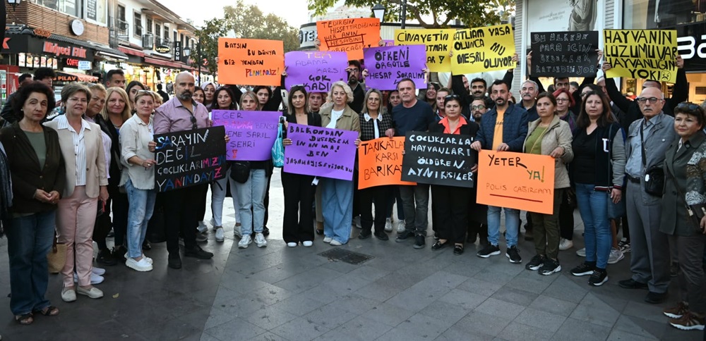 chp-genclik-kollari-aciklama-1.jpeg