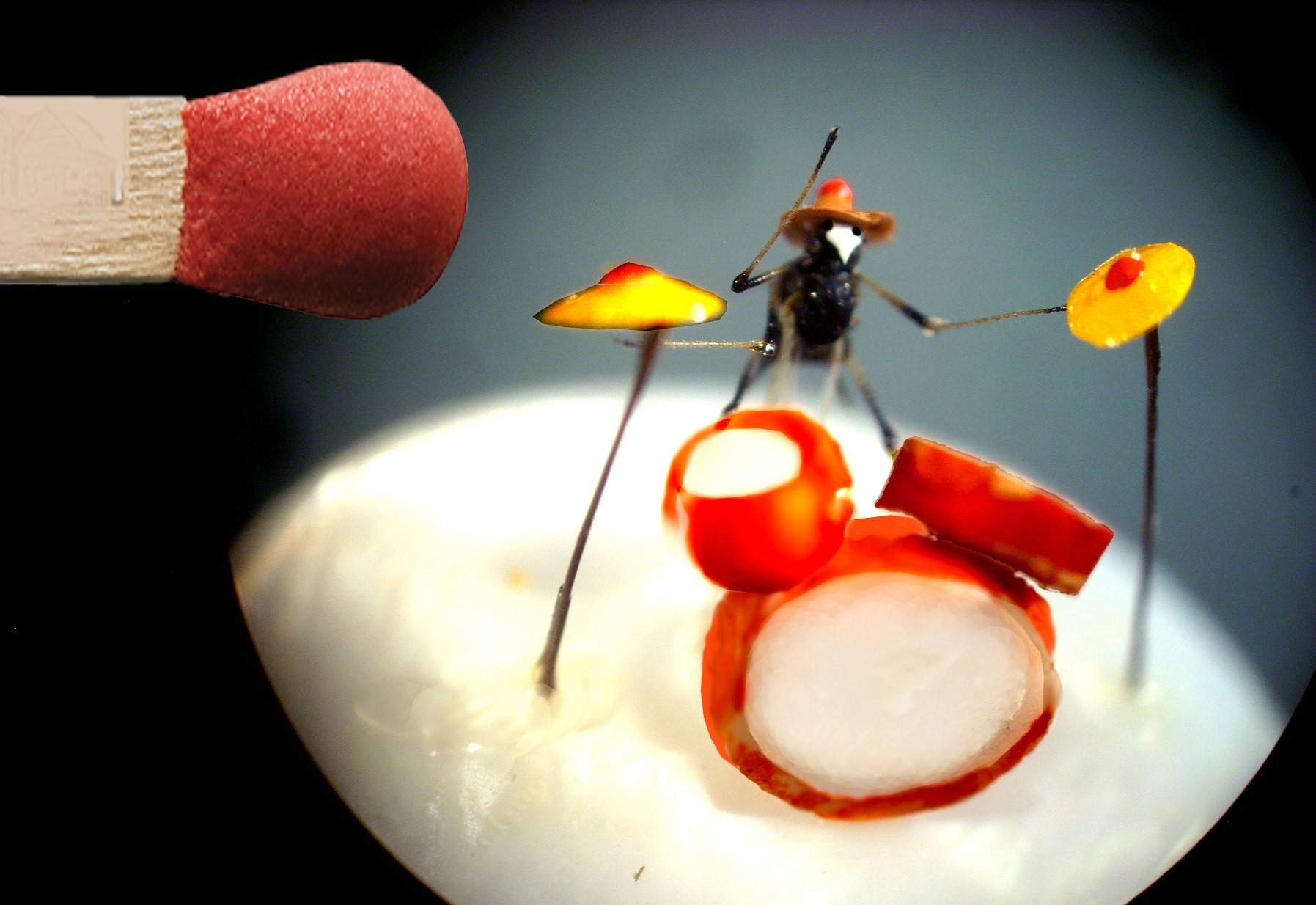thumbnail-mikro-minyatur-8.jpg