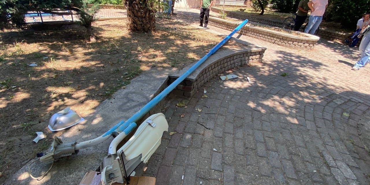 821625.jpg