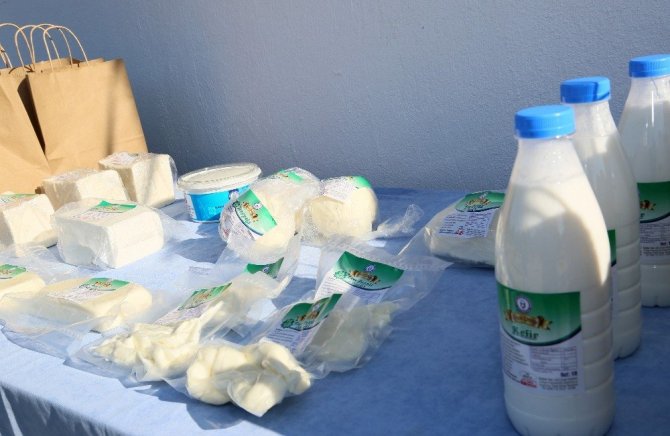 ADÜ Ziraat Fakültesi Kaşar Peyniri Üretim Tesisi açılışı gerçekleşti