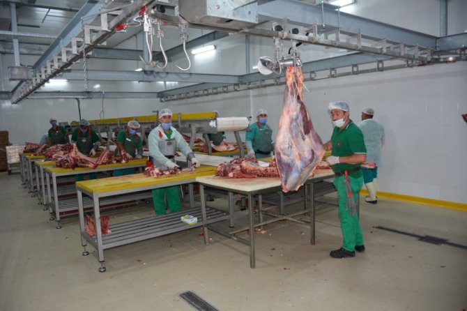 AK Parti heyeti, Van Et ve Süt Kurumunu ziyaret etti