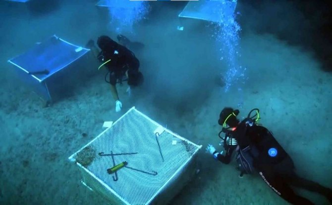 Akdeniz ve Ege’de büyük tehlike