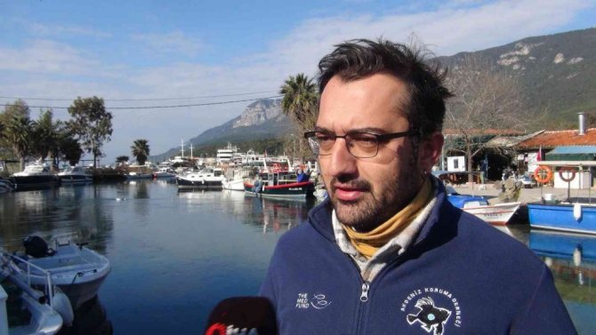 Akdeniz ve Ege’de büyük tehlike