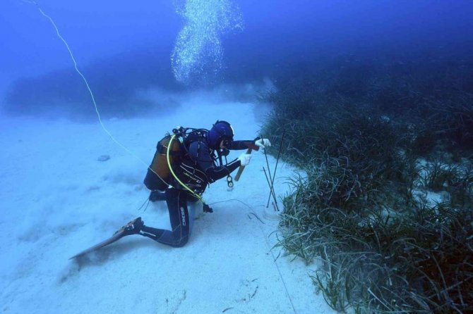 Akdeniz ve Ege’de büyük tehlike