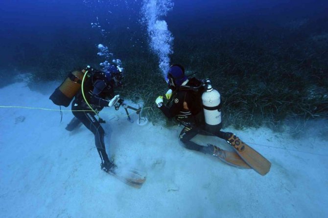 Akdeniz ve Ege’de büyük tehlike