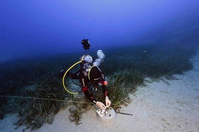 Akdeniz ve Ege’de büyük tehlike