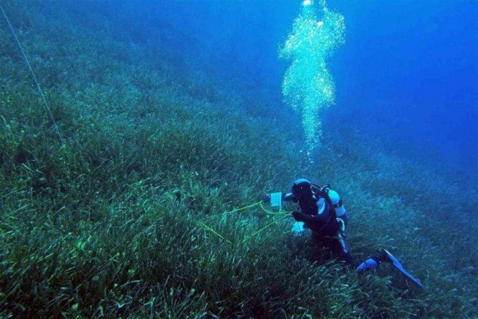 Akdeniz ve Ege’de büyük tehlike