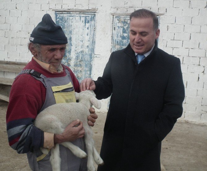ANKARA İLİ DAMIZLIK KOYUN KEÇİ YETİŞTİRİCİLERİ BİRLİĞİ BAŞKANI HASAN KILINÇ, 2014 YILINDA KÜÇÜKBAŞ HAYVAN SAYISINDA YÜZDE 7,7’LİK ARTIŞA KARŞIN KOYUN ETİ ÜRETİMİNDE YÜZDE 3,9’LUK AZALIŞ OLDUĞUNA DİKKAT ÇEKTİ.