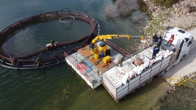 Avrupa’nın alabalığı bu barajdan gidiyor