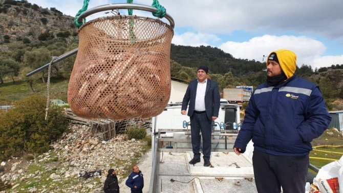 Avrupa’nın alabalığı bu barajdan gidiyor