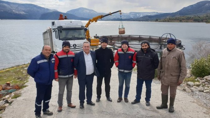 Avrupa’nın alabalığı bu barajdan gidiyor