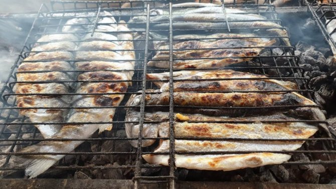 Avrupa’nın alabalığı bu barajdan gidiyor