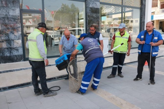 Aydın Büyükşehir Belediyesi, Koçarlı Belediyesi ile sokak hayvanları için ortak çalışma yapıyor