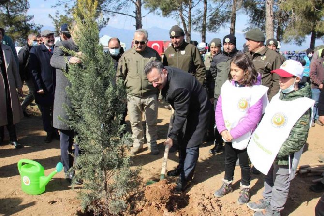 Aydın’da 10 bin adet fidan toprakla buluştu