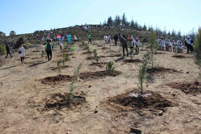 Aydın’da 10 bin adet fidan toprakla buluştu