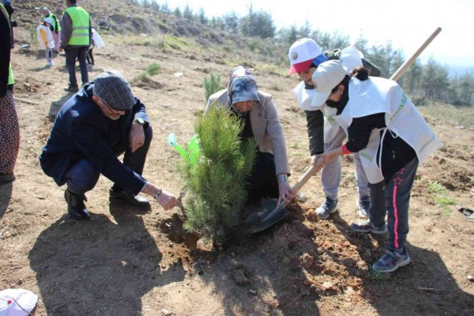 Aydın’da 10 bin adet fidan toprakla buluştu