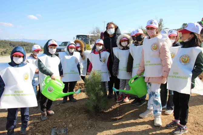 Aydın’da 10 bin adet fidan toprakla buluştu