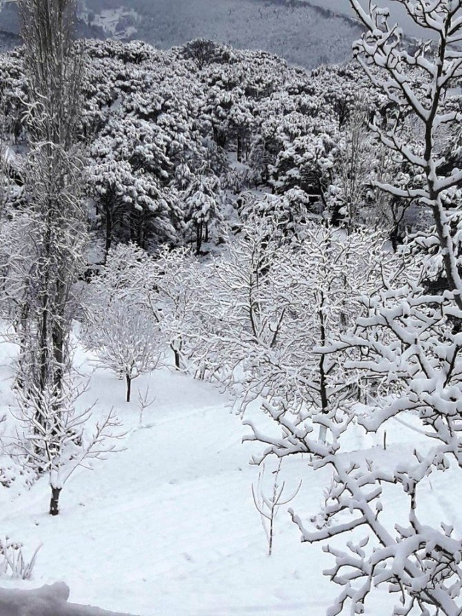 Aydın’da kar yağışı ile kartpostallık görüntüler oluştu