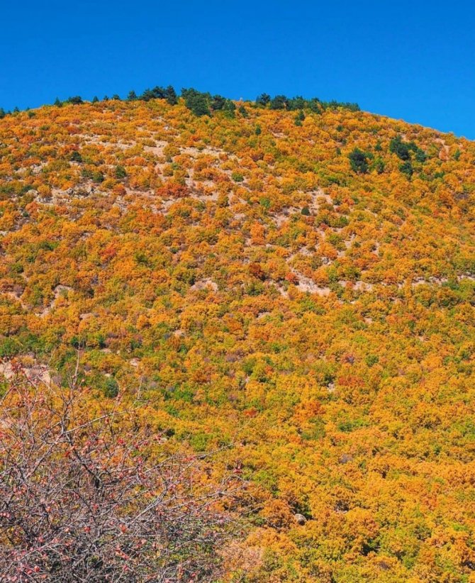 Aydın’da sonbahar bir başka güzel