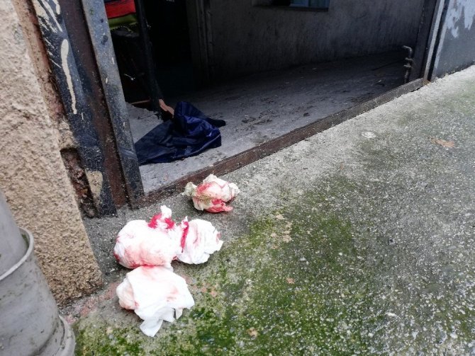 AydÄ±n'da yaÄmur suyu kavgasÄ±: 5 yaralÄ± ile ilgili gÃ¶rsel sonucu