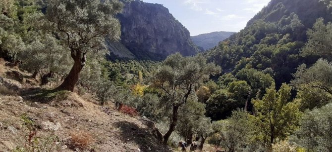 Aydın’ın yanı başında bir doğa harikası: “ Koçak Kanyonu “