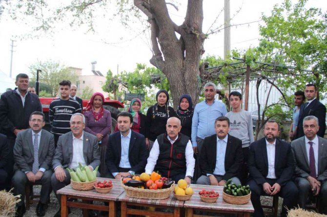 Bakan Kirişci, Antalya’da sarı çizme giyip serada domates topladı