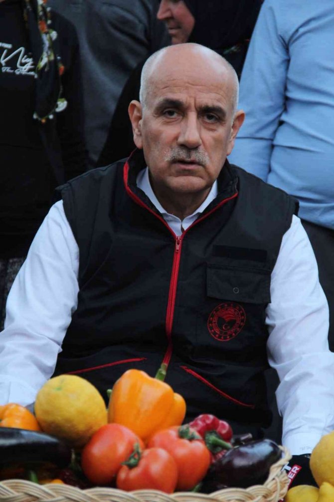 Bakan Kirişci, Antalya’da sarı çizme giyip serada domates topladı