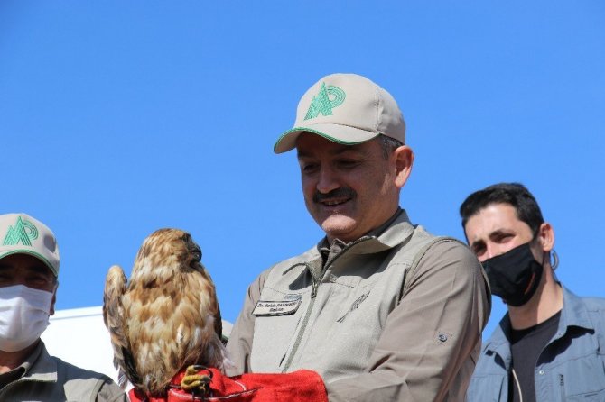 Bakan Pakdemirli Hayvanları Koruma Günü’nde yaban hayvanlarını doğa ile buluşturdu