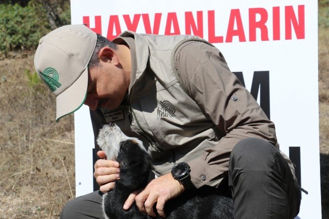 Bakan Pakdemirli Hayvanları Koruma Günü’nde yaban hayvanlarını doğa ile buluşturdu