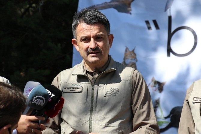Bakan Pakdemirli Hayvanları Koruma Günü’nde yaban hayvanlarını doğa ile buluşturdu