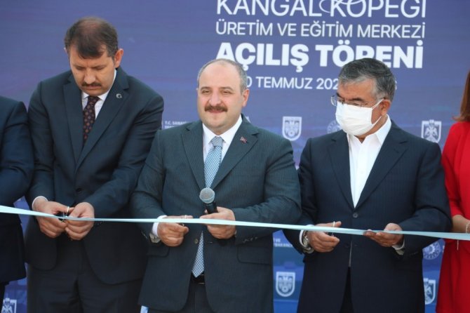 Bakan Varank: “İlk 6 ayda 105 milyar dolar ihracata ulaştık”