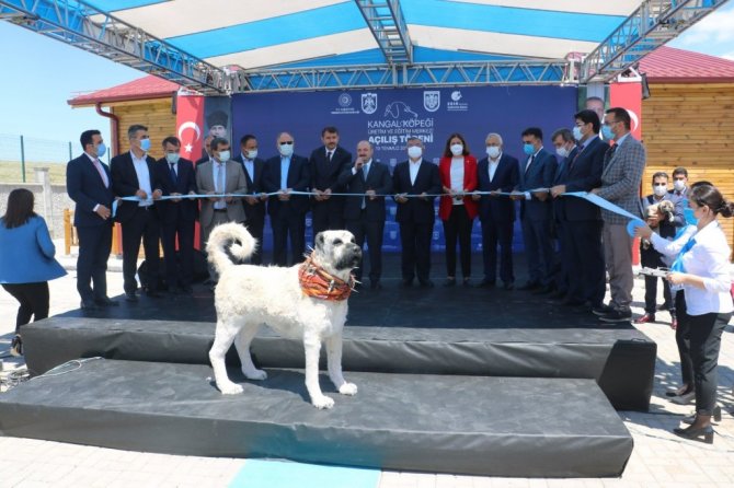 Bakan Varank: “İlk 6 ayda 105 milyar dolar ihracata ulaştık”