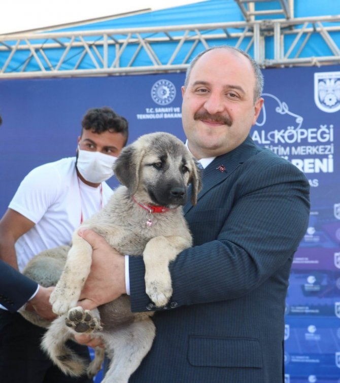 Bakan Varank: “İlk 6 ayda 105 milyar dolar ihracata ulaştık”