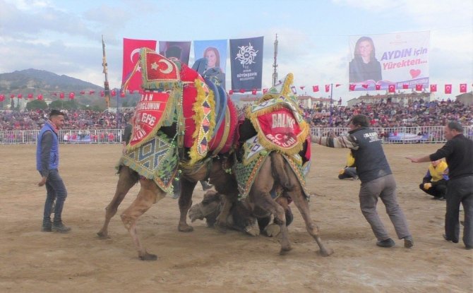 Başkan Çeçrioğlu devesi ’Topuklu Efe’nin güreşini merakla izledi