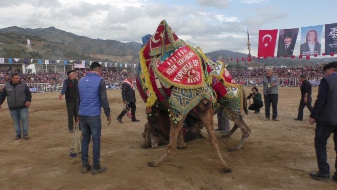 Başkan Çeçrioğlu devesi ’Topuklu Efe’nin güreşini merakla izledi