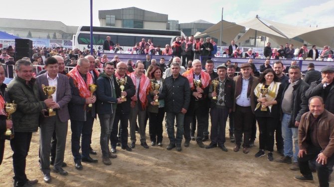 Başkan Çeçrioğlu devesi ’Topuklu Efe’nin güreşini merakla izledi