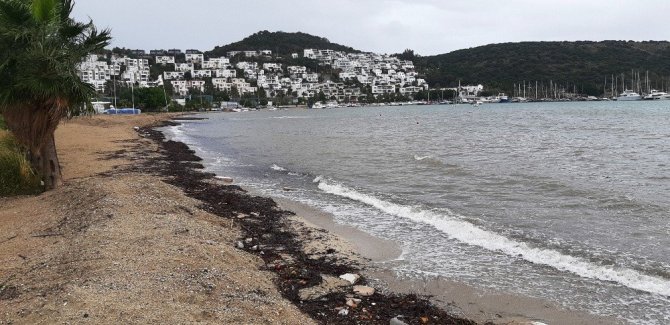 Bodrum sahilleri bomboş kaldı