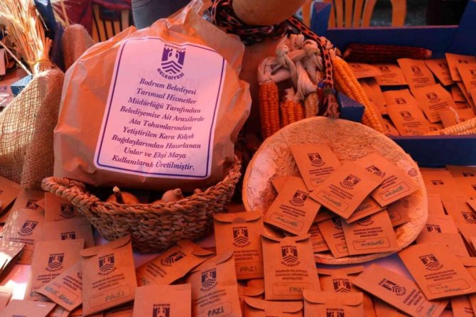 Bodrum Tohum Takas Şenliği’nde ata tohumları el değiştirdi