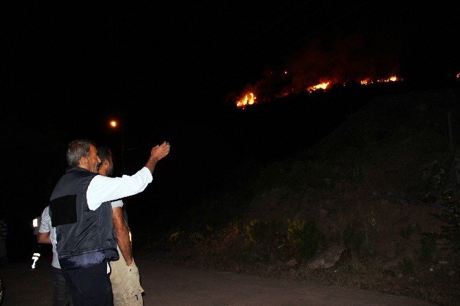 Bodrum’daki Yangın Mahalle Sakinlerini Korkuttu