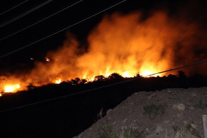 Bodrum’daki Yangın Mahalle Sakinlerini Korkuttu