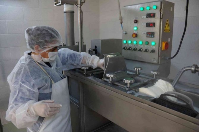 Bu fakülte ürettiği ürünlerle ülke ekonomisine katkı sağlıyor