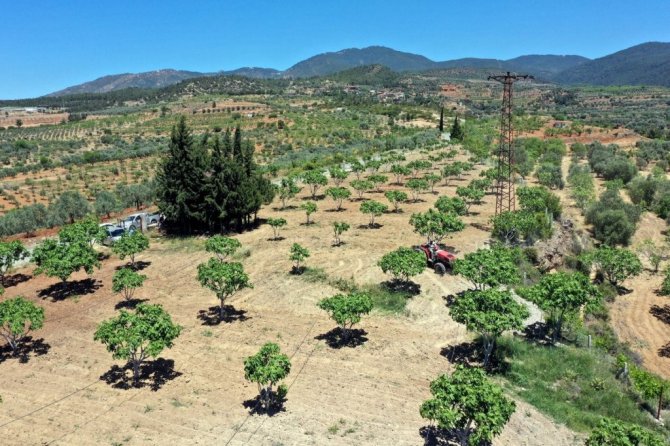 Çiftçiler gününü tarlada çalışarak geçirdiler