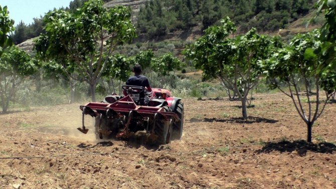 Çiftçiler gününü tarlada çalışarak geçirdiler