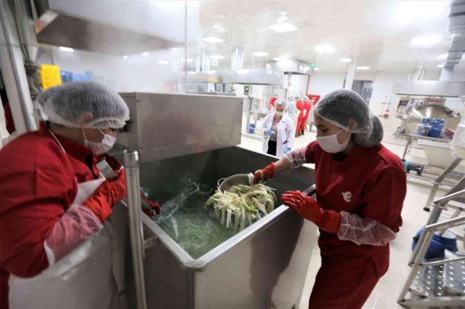 Efelerli kadınlar 7 ton şevketibostan işledi