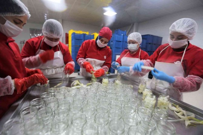 Efelerli kadınlar 7 ton şevketibostan işledi