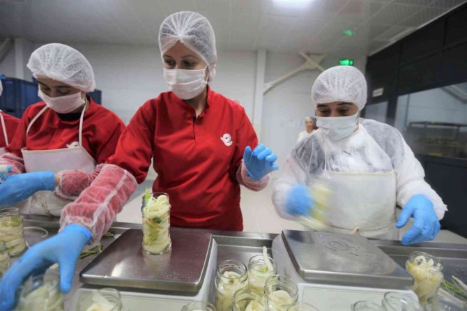 Efelerli kadınlar 7 ton şevketibostan işledi