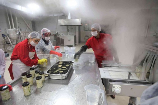 Efelerli kadınlar 7 ton şevketibostan işledi