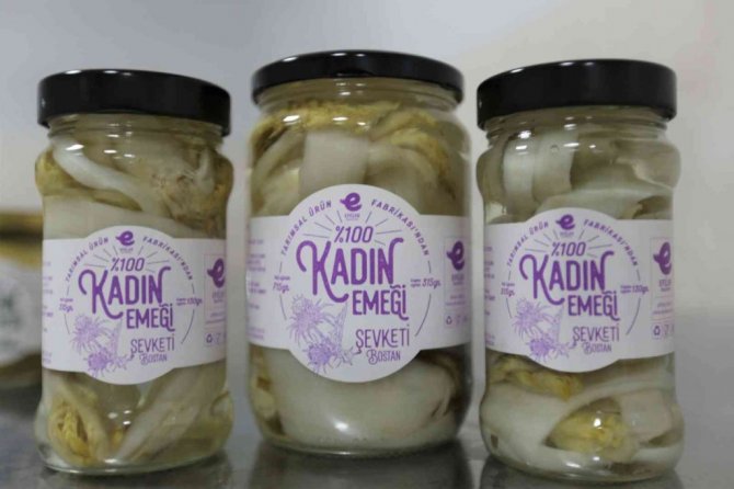 Efelerli kadınlar 7 ton şevketibostan işledi